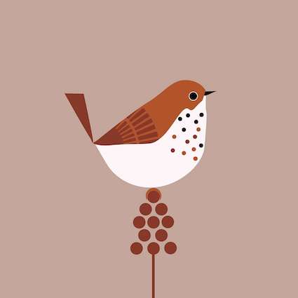 Graphic of a plump bird on a tree